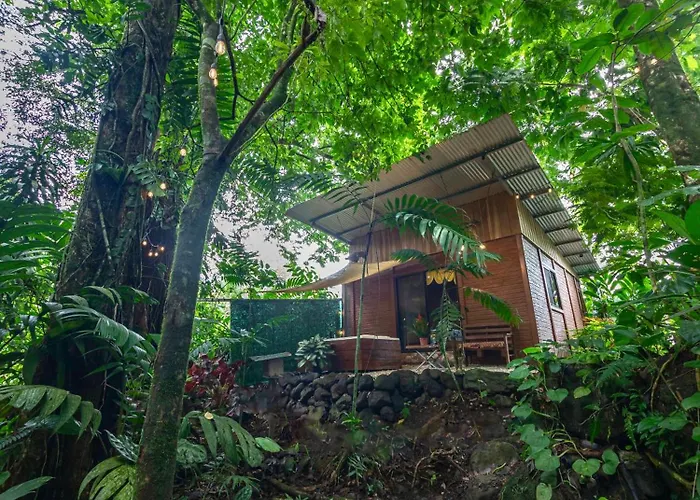 The Frog House