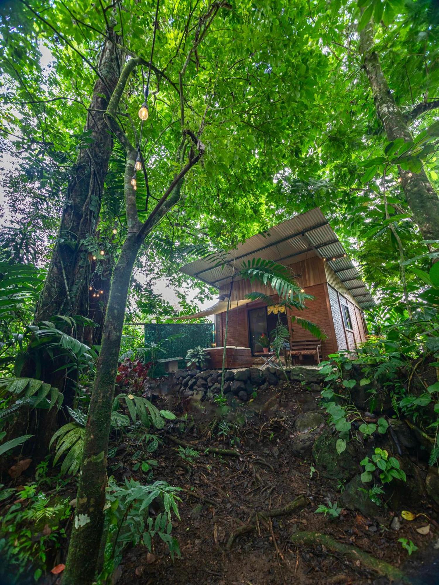 The Frog House *